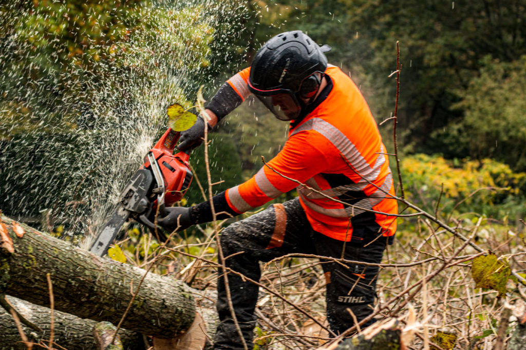 TC Trees Services, Wales TC Trees Services, Wales